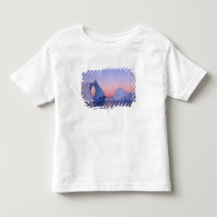 Grönland, Isberg vid solnedgång. Tee Shirt