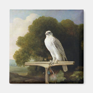 Grönlandfalk (grå färgfalken), 1780 (olja på p magnet