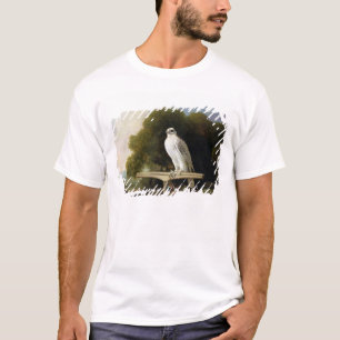 Grönlandfalk (grå färgfalken), 1780 (olja på p t shirt