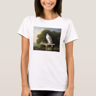Grönlandfalk (grå färgfalken), 1780 (olja på p t shirt