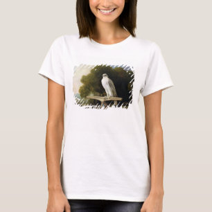 Grönlandfalk (grå färgfalken), 1780 (olja på p t shirt
