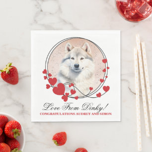 Grönlandsblöjor Hund med Hund foto Pappersservett