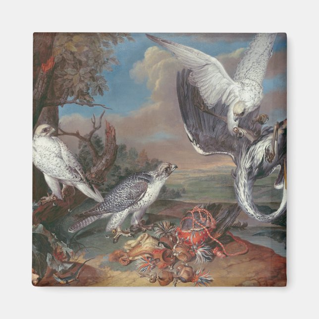 Grönlandsblommor Falcons Magnet (Framsidan)