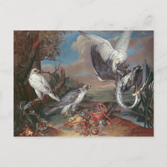 Grönlandsblommor Falcons Vykort (Framsida)