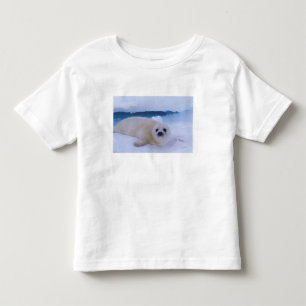 Grönlandssäl Nordamerika, Kanada, Quebec T-shirt