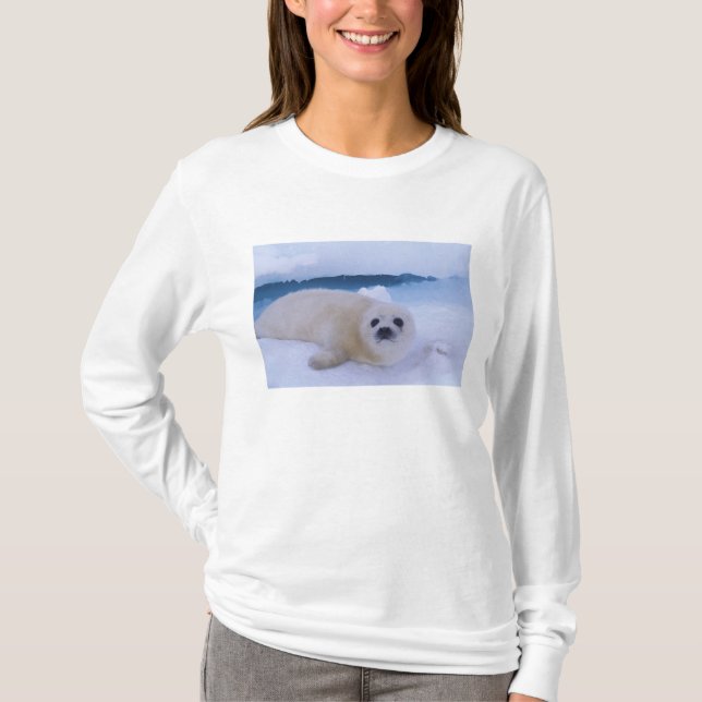 Grönlandssäl Nordamerika, Kanada, Quebec Tee (Framsida)