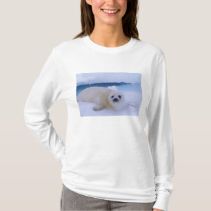 Grönlandssäl Nordamerika, Kanada, Quebec Tee Shirt