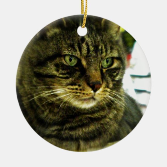 Grönögd Tabby-ansikte Julgransprydnad Keramik (Framsidan)