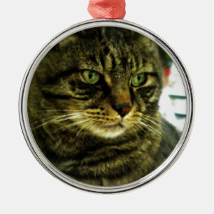 Grönögd Tabby-ansikte Julgransprydnad Metall