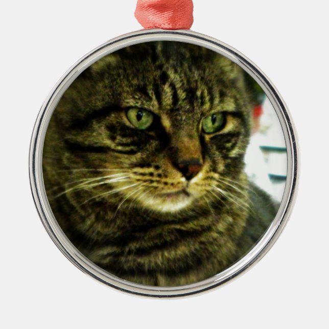 Grönögd Tabby-ansikte Julgransprydnad Metall (Framsidan)
