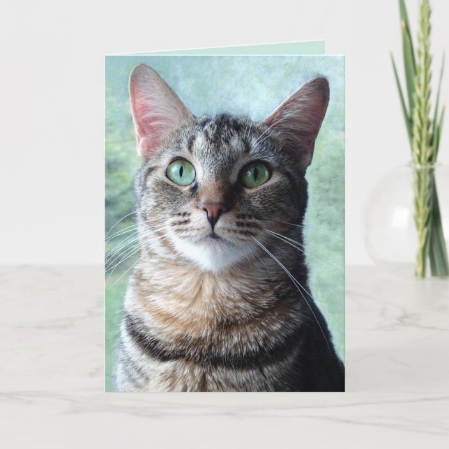 Grönögd Tabby Blank Greeting Card Kort (Framsida)