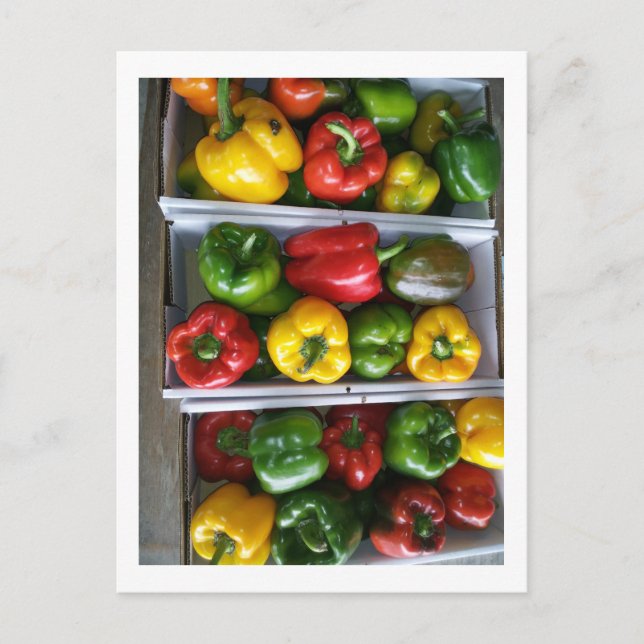 Grönsaker på Amish Market Vykort (Framsida)