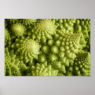 Grönsaksnäring i Romanesco broccoli Poster