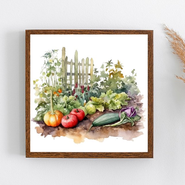 Grönsaksträdgård med staket Akvarell Poster (Watercolor Vegetable Garden Wall Art.)