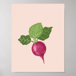 Grönsaksväggkonst - Raddish illustration Poster