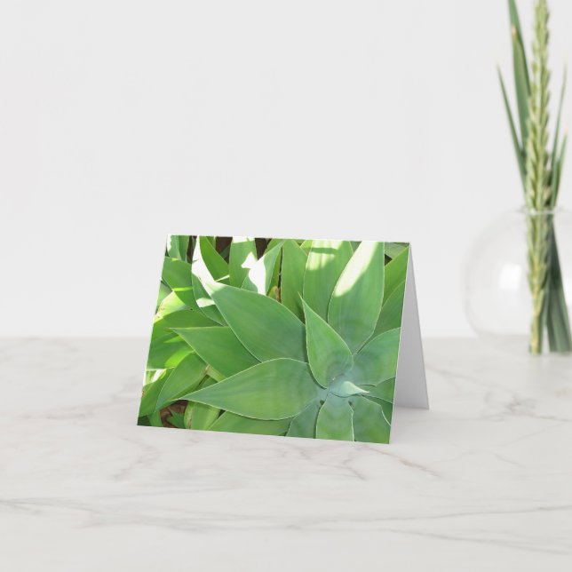 Grönska v2 kort (Framsida)