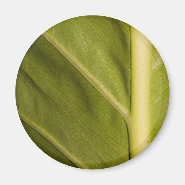 Grönt 01 magnet (Framsidan)