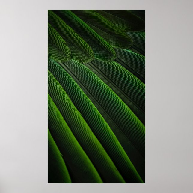 Grönt 3D tapet Poster (Framsidan)