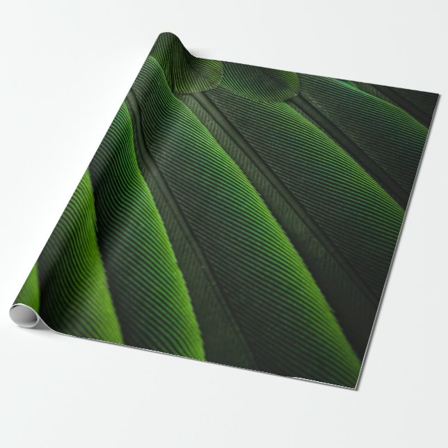 Grönt 3D tapet Presentpapper (Utrullad)