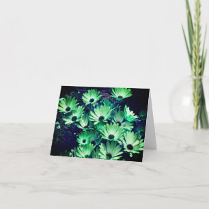 Grönt African Daisy Flowers Note Card Tack Kort