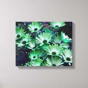 Grönt Afrikas Daisy Abstrakt Flower Canvastryck
