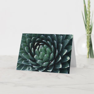 Grönt Agave Kort