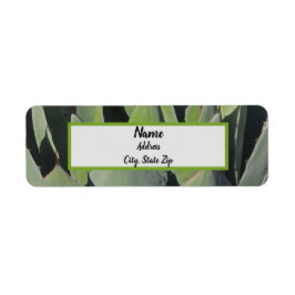 Grönt Agave Lövs Botanical Photo Southwest Returadress Etikett
