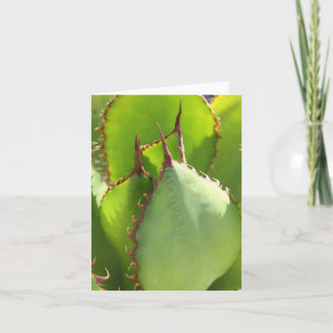 Grönt agave notecard kort