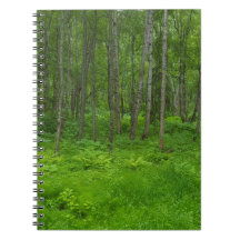 Grönt Alaska Summer Forest Äventyr Notebook