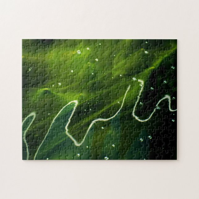 Grönt Algae och Vatten 11x14 252pc jpcn Pussel (Horisontell)