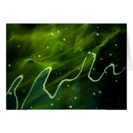 Grönt Algae och Vatten gccna Hälsningskort