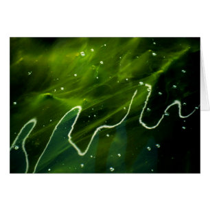 Grönt Algae och Vatten gccnm Hälsningskort