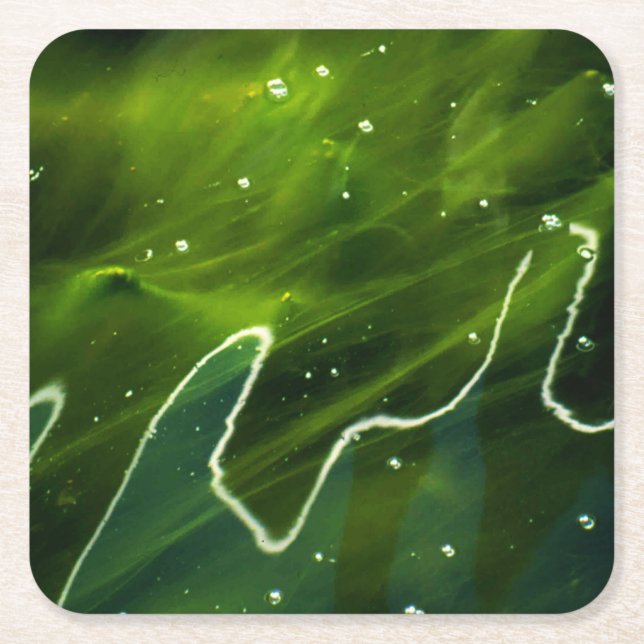 Grönt Algae och Vatten kust Underlägg Papper Kvadrat (Framsidan)