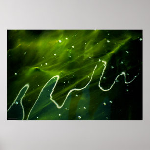 Grönt Algae och Vatten wapcn Poster