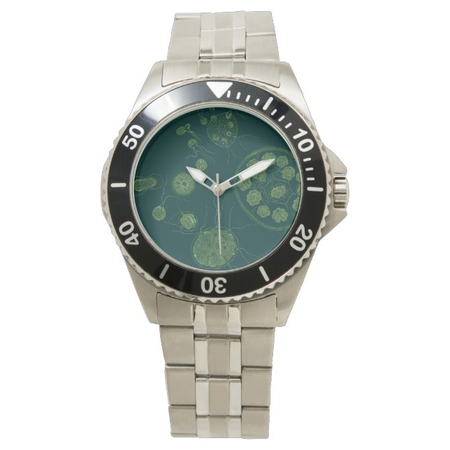Grönt Algae Pandorina morum Armbandsur (Framsida)