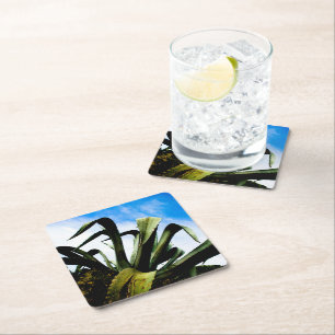 Grönt Aloe Plant med Bright Blå himmel Underlägg Papper Kvadrat