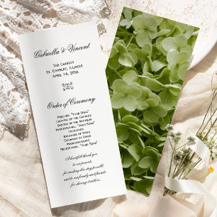 Grönt Annabelle Hydrangea Flower Bröllopsprogram Program
