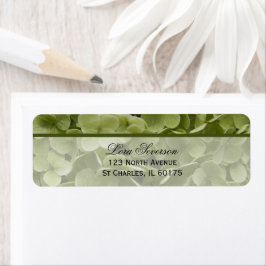 Grönt Annabelle Hydrangea Flower Returadress Etikett
