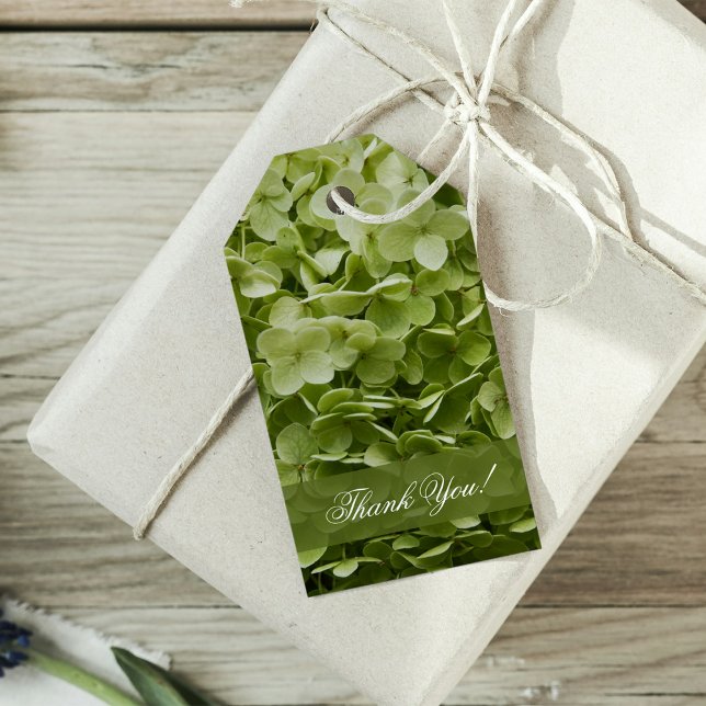 Grönt Annabelle Hydrangea Flower Wedding Favor Mär Presentetikett (Skapare uppladdad)