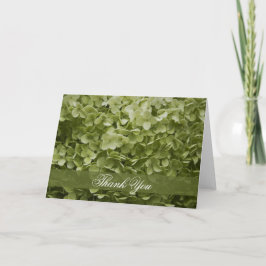 Grönt Annabelle vanlig hortensiatack Tack Kort