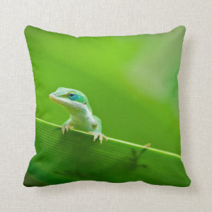 Grönt Anole Ligul-uppräkning Kudde