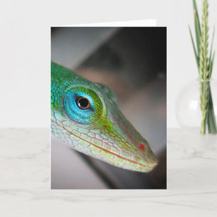 Grönt Anole Lizard Kort