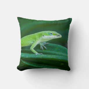 Grönt Anole Lizard Kudde