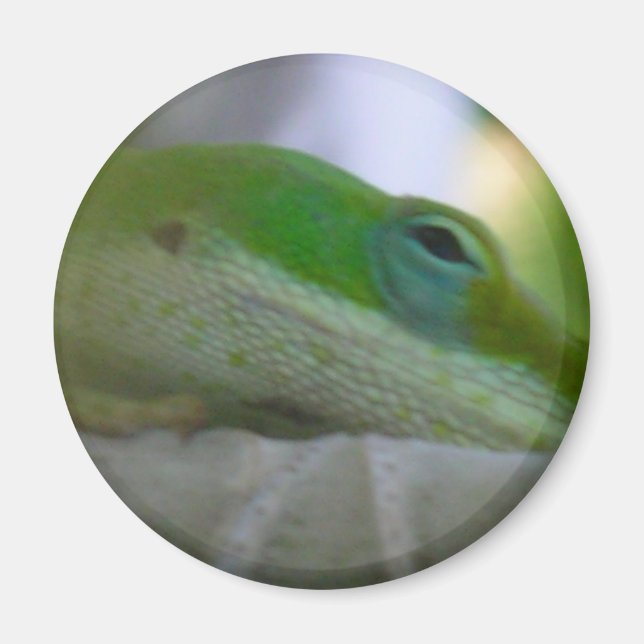 Grönt Anole Lizard Magnet (Framsidan)