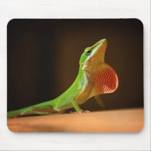 Grönt Anole Lizard med Red Thraot Musmatta