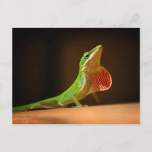 Grönt Anole Lizard med Red Thraot Vykort