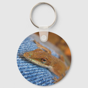 Grönt Anole Lizard Nyckelring