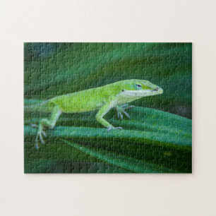 Grönt Anole Lizard Pussel