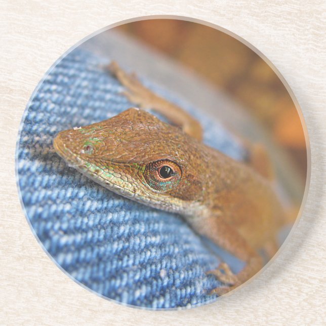 Grönt Anole Lizard Underlägg (Framsidan)