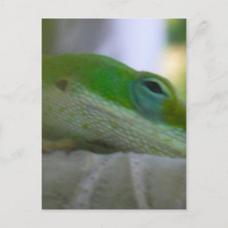 Grönt Anole Lizard Vykort
